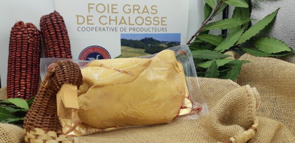 foie gras de canard