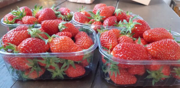 Fraises