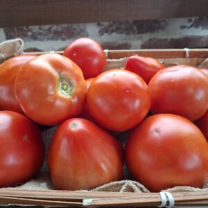 tomates